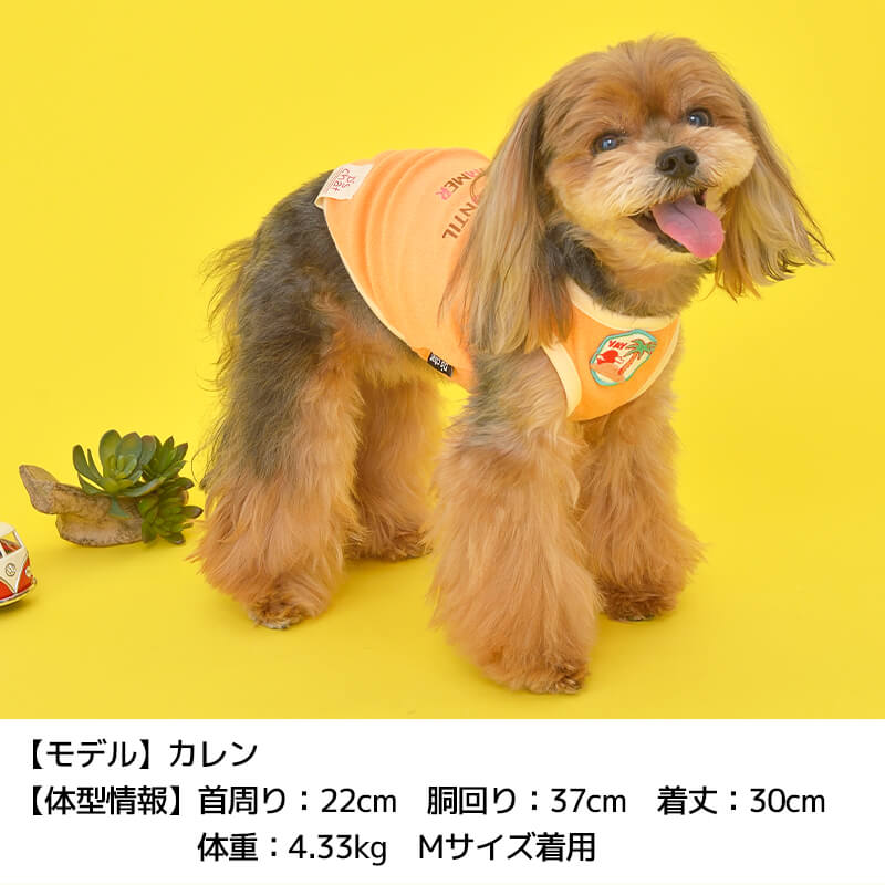 パイル刺繍タンク XS/S/M/L/XL/XXL/DS/DM/DL/FBM D's Chat-ディーズチャット- 犬服 ドッグウェア 小型犬 ダックス フレブル DS22SS ds161120-1