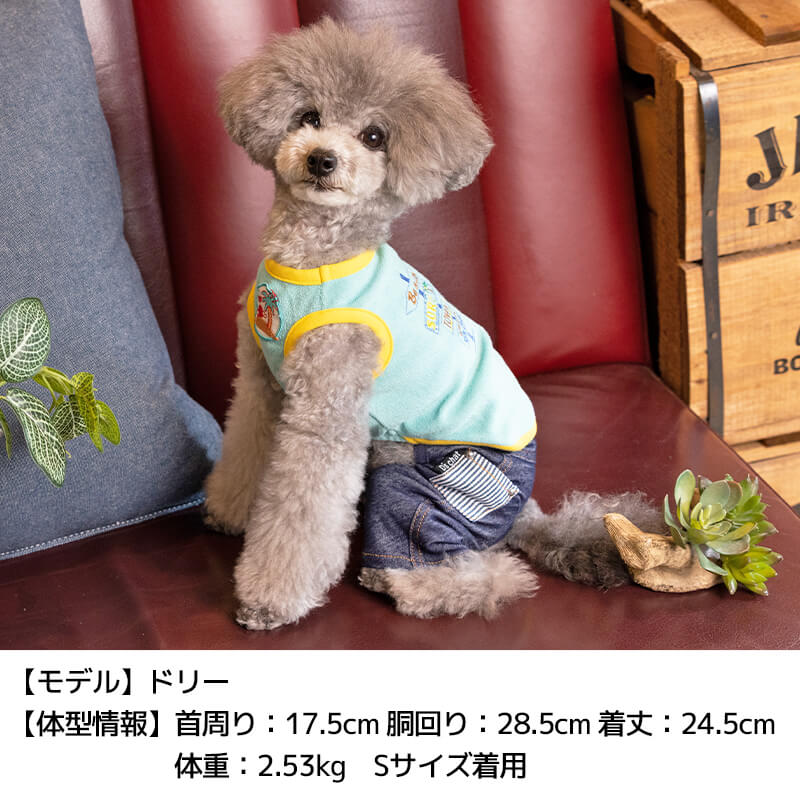 パイル刺繍タンク XS/S/M/L/XL/XXL/DS/DM/DL/FBM D's Chat-ディーズチャット- 犬服 ドッグウェア 小型犬 ダックス フレブル DS22SS ds161120-1