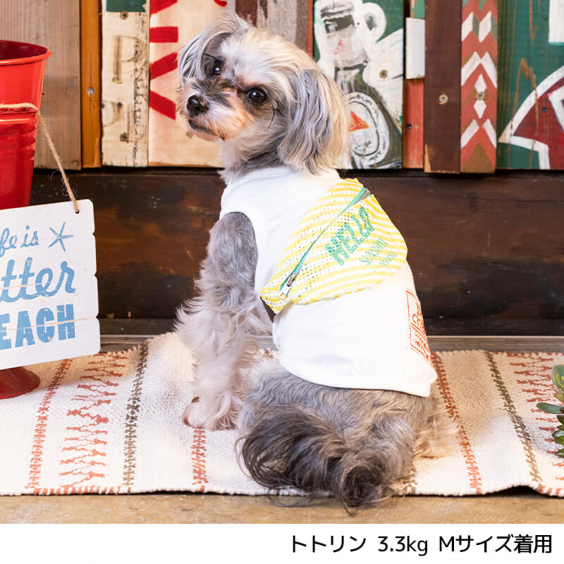 ボーダーショルダータンク XS/S/M/L/XL/XXL/DS/DM/DL/FBM D's Chat-ディーズチャット- 犬服 ドッグウェア 小型犬 ダックス フレブル DS22SS ds161121-1