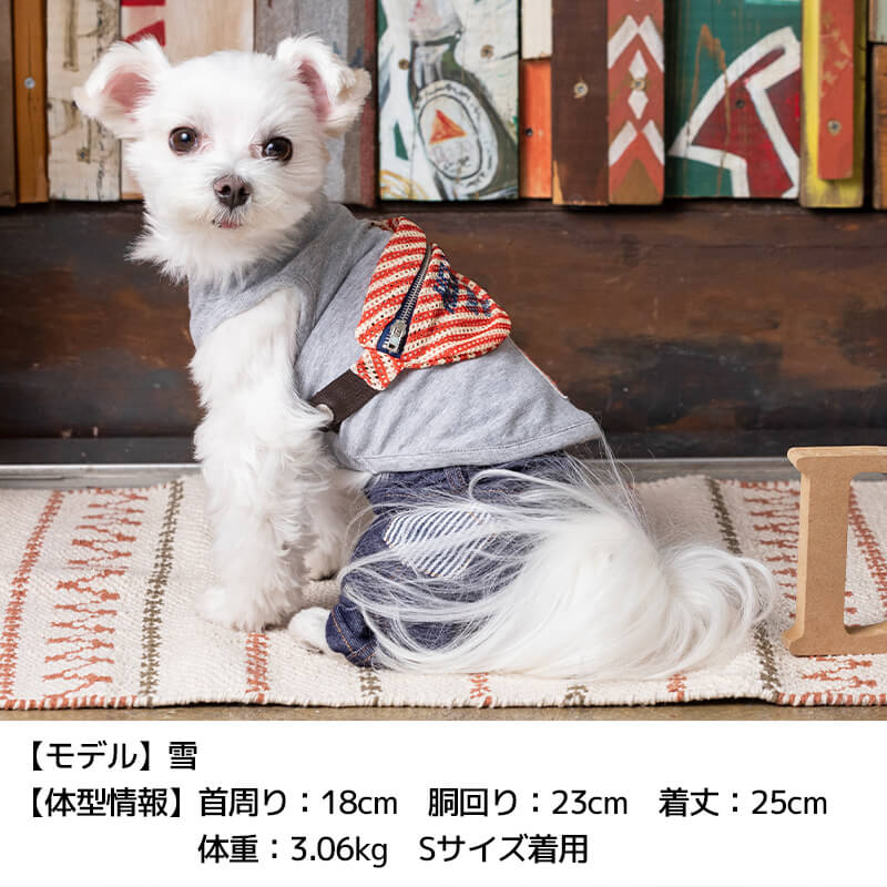 ボーダーショルダータンク XS/S/M/L/XL/XXL/DS/DM/DL/FBM D's Chat-ディーズチャット- 犬服 ドッグウェア 小型犬 ダックス フレブル DS22SS ds161121-1