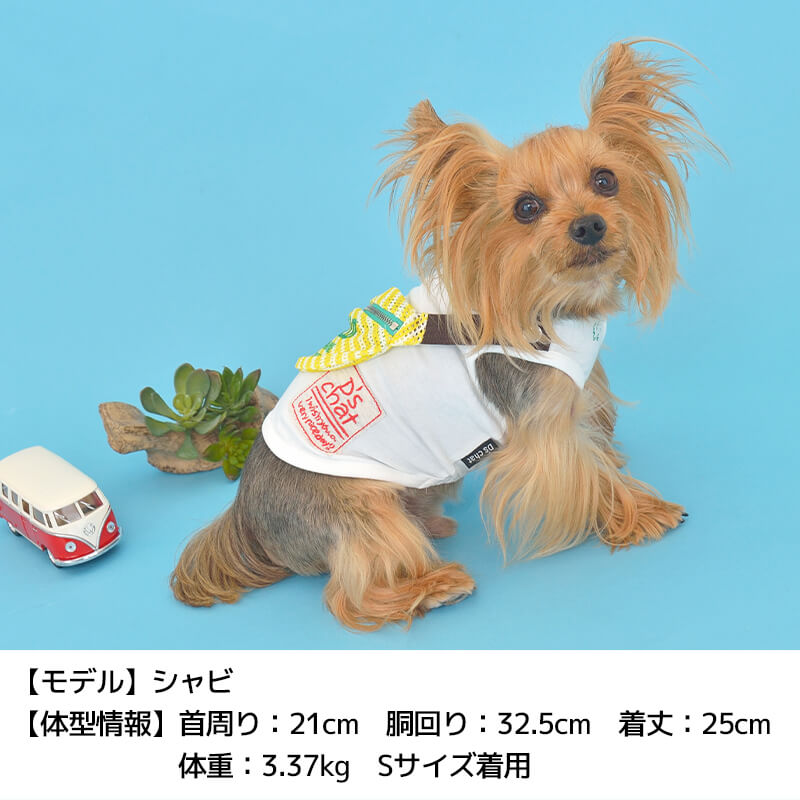 ボーダーショルダータンク XS/S/M/L/XL/XXL/DS/DM/DL/FBM D's Chat-ディーズチャット- 犬服 ドッグウェア 小型犬 ダックス フレブル DS22SS ds161121-1
