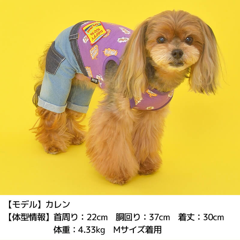 空き缶デニムつなぎ XS/S/M/L/XL/XXL/DS/DM D's Chat-ディーズチャット- 犬服 ドッグウェア 小型犬 ダックス DS22SS ds163131-1