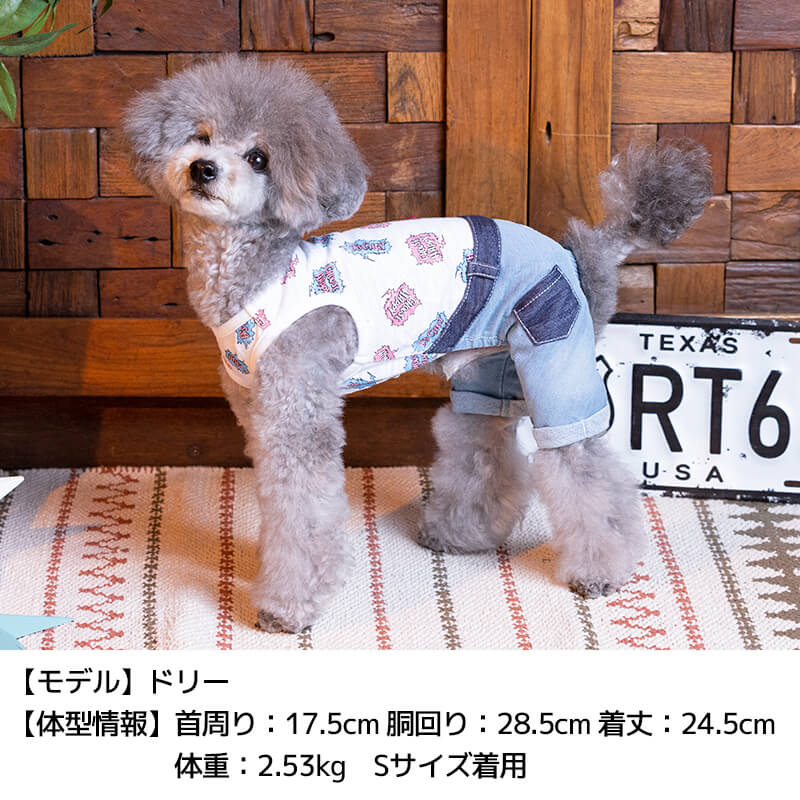 空き缶デニムつなぎ XS/S/M/L/XL/XXL/DS/DM D's Chat-ディーズチャット- 犬服 ドッグウェア 小型犬 ダックス DS22SS ds163131-1