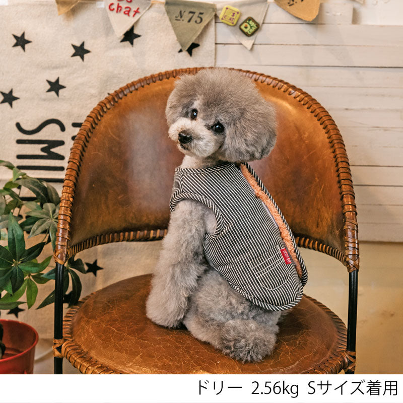 ヒッコリーリバーシブルベスト XS/S/M/L/XL/XXL/DS/DM/DL/FBM D's Chat-ディーズチャット- 犬服 ドッグウェア 小型犬 ダックス フレブル DS22AW ds162156-1