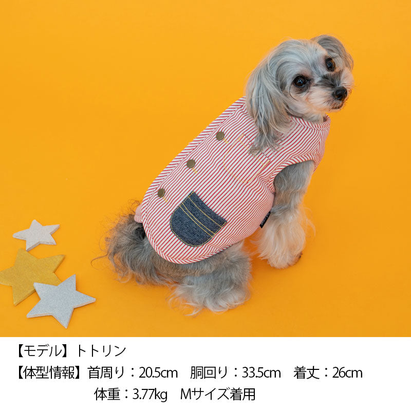 ヒッコリーリバーシブルベスト XS/S/M/L/XL/XXL/DS/DM/DL/FBM D's Chat-ディーズチャット- 犬服 ドッグウェア 小型犬 ダックス フレブル DS22AW ds162156-1