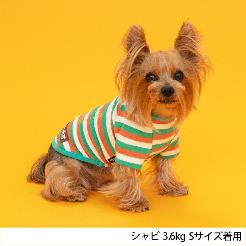 マルチカラーTシャツ S/M/L/XL/XXL/DXS/DS/DM/4L/5L/6L/OS/OM/OL D's Chat-ディーズチャット- 犬服 ドッグウェア 小型犬 ダックス フレブル 中・大型犬 DS23SS ds231168-1