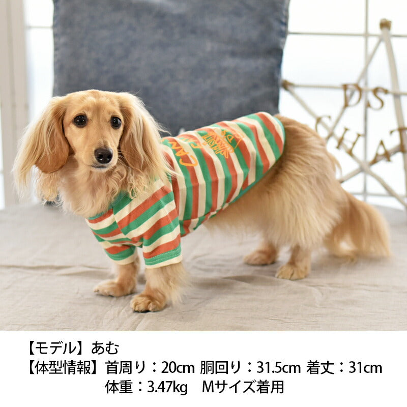 マルチカラーTシャツ S/M/L/XL/XXL/DXS/DS/DM/4L/5L/6L/OS/OM/OL D's Chat-ディーズチャット- 犬服 ドッグウェア 小型犬 ダックス フレブル 中・大型犬 DS23SS ds231168-1
