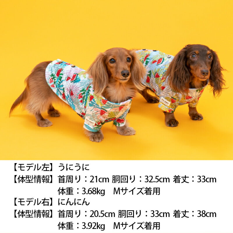 アロハ柄背開きシャツ XS/S/M/L/XL/XXL/DS/DM D's Chat-ディーズチャット- 犬服 ドッグウェア 小型犬 ダックス DS23SS ds231170-1