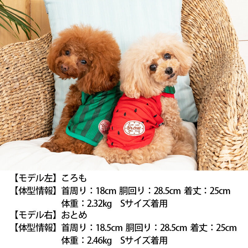 スイカ襟付きメッシュタンク XS/S/M/L/XL/XXL/DS/DM/DL/FBM D's Chat-ディーズチャット- 犬服 ドッグウェア 小型犬 ダックス フレブル DS23SS ds231179-1