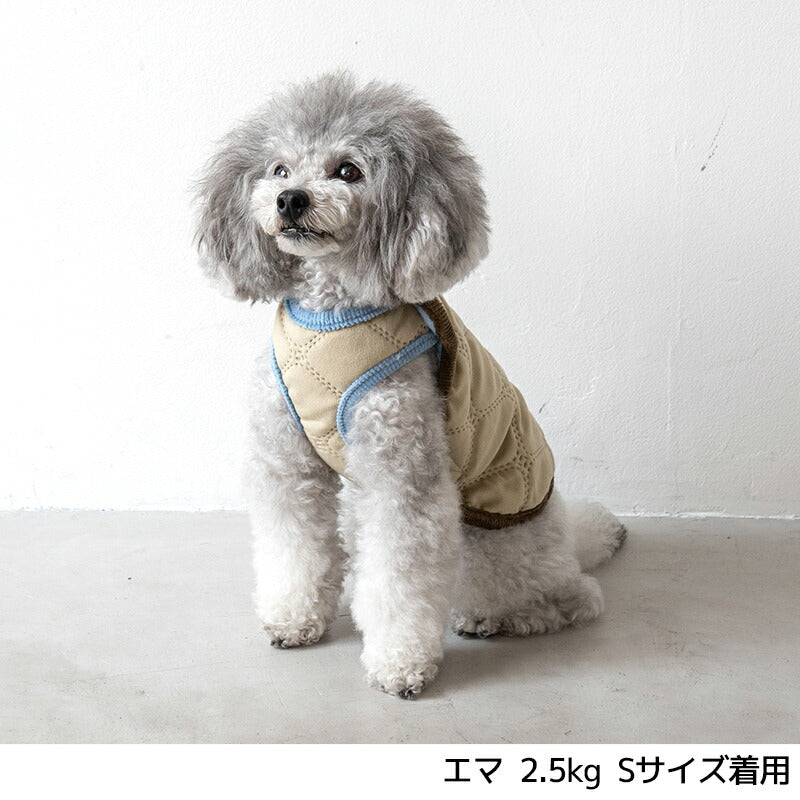 肩開きアウター XS/S/M/L/XL/XXL/DXS/DS/DM/DL/FBS/FBM/FBL/4L/5L/6L/OS/OM/OL D's Chat-ディーズチャット- 犬服 小型犬 ドッグウェア DS24AW ds241230