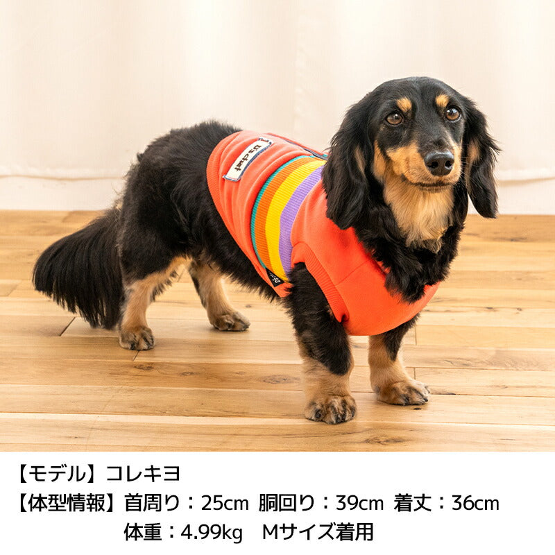 背開きボーダーアウター XS/S/M/L/XL/XXL/DXS/DS/DM/DL/FBS/FBM/FBL D's Chat-ディーズチャット- 犬服 小型犬 ドッグウェア DS24AW ds241235