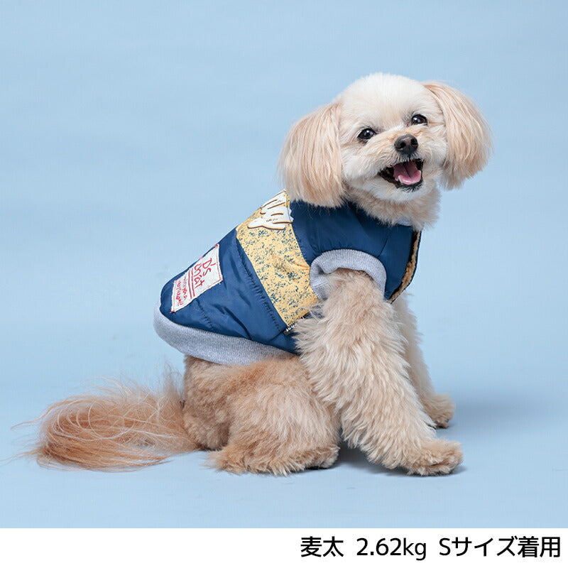 Goingアウター XS/S/M/L/XL/XXL/DXS/DS/DM/DL/FBS/FBM/FBL D's Chat-ディーズチャット- 犬服 小型犬 ドッグウェア DS24AW ds241238