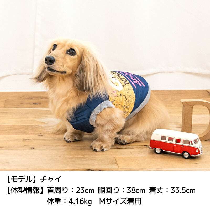 Goingアウター XS/S/M/L/XL/XXL/DXS/DS/DM/DL/FBS/FBM/FBL D's Chat-ディーズチャット- 犬服 小型犬 ドッグウェア DS24AW ds241238