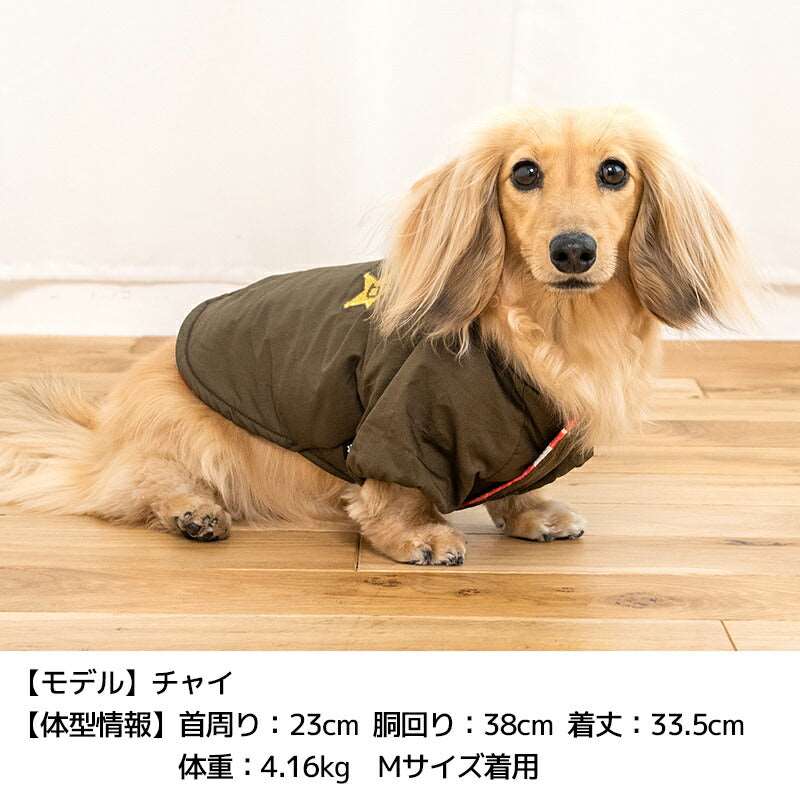 DSワッペンアウター XS/S/M/L/XL/XXL/DXS/DS/DM/DL/FBS/FBM/FBL D's Chat-ディーズチャット- 犬服 小型犬 ドッグウェア DS24AW ds241248