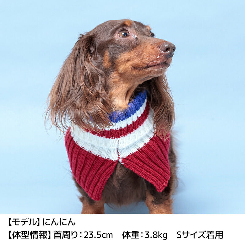 マルチボーダーマフラー S/M/L D's Chat-ディーズチャット- 犬服 小型犬 ドッグウェア DS24AW ds242251