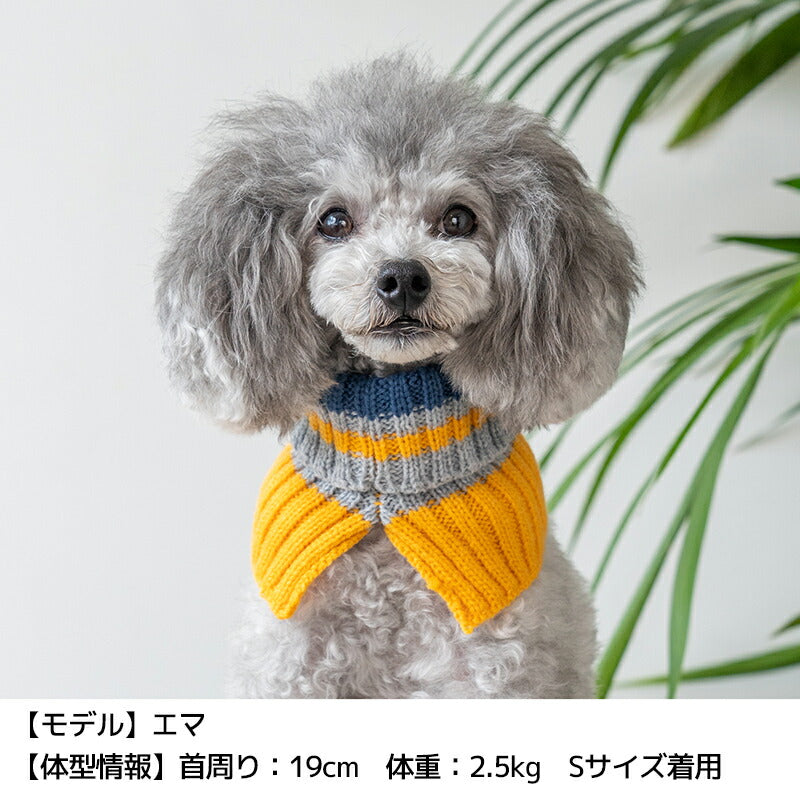 マルチボーダーマフラー S/M/L D's Chat-ディーズチャット- 犬服 小型犬 ドッグウェア DS24AW ds242251