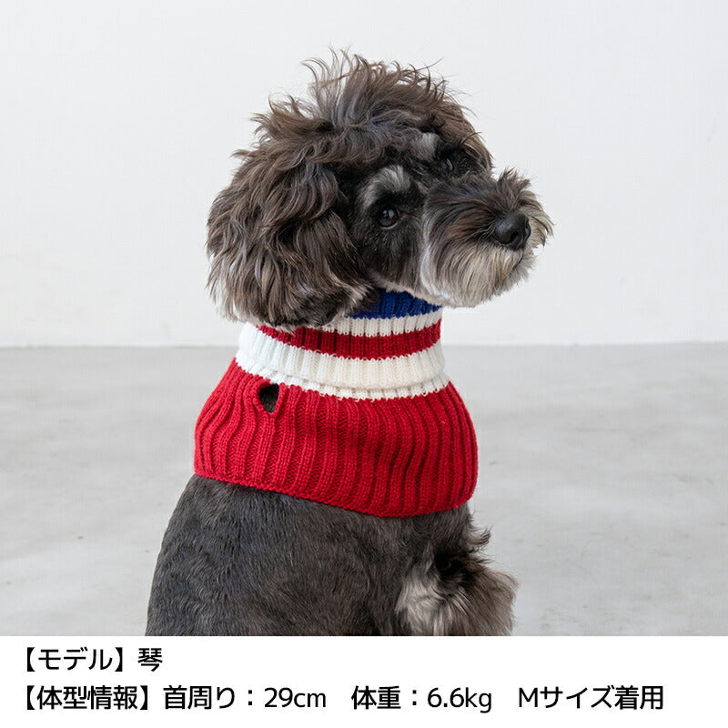 マルチボーダーマフラー S/M/L D's Chat-ディーズチャット- 犬服 小型犬 ドッグウェア DS24AW ds242251