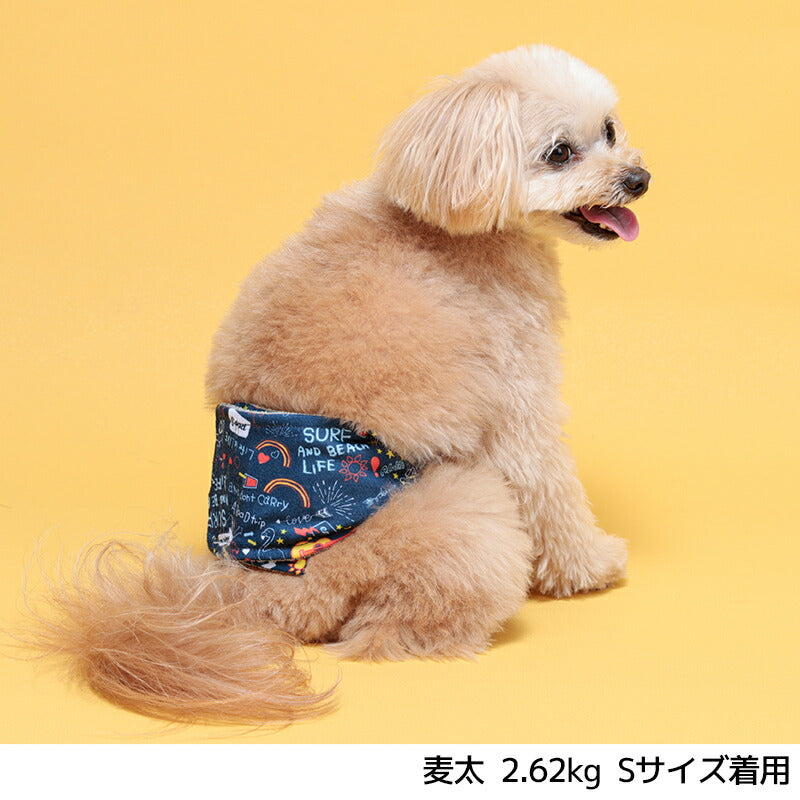 カラフルマナーベルト S/M/L/XL/XXL/4L/5L/6L/OS/OM/OL D's Chat-ディーズチャット- 犬服 小型犬 中型犬 大型犬 ドッグウェア DS24AW ds246253