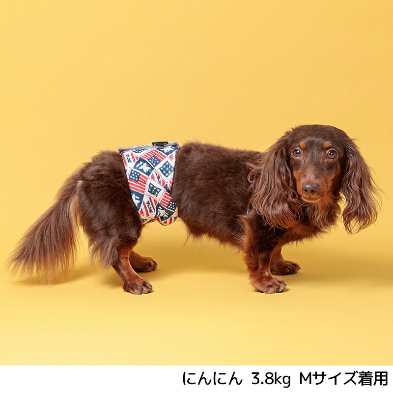 カラフルマナーベルト S/M/L/XL/XXL/4L/5L/6L/OS/OM/OL D's Chat-ディーズチャット- 犬服 小型犬 中型犬 大型犬 ドッグウェア DS24AW ds246253