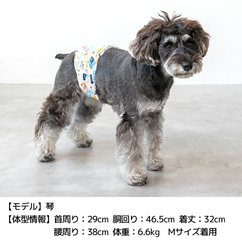 カラフルマナーベルト S/M/L/XL/XXL/4L/5L/6L/OS/OM/OL D's Chat-ディーズチャット- 犬服 小型犬 中型犬 大型犬 ドッグウェア DS24AW ds246253