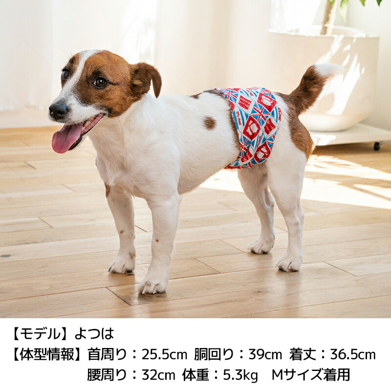 カラフルマナーベルト S/M/L/XL/XXL/4L/5L/6L/OS/OM/OL D's Chat-ディーズチャット- 犬服 小型犬 中型犬 大型犬 ドッグウェア DS24AW ds246253