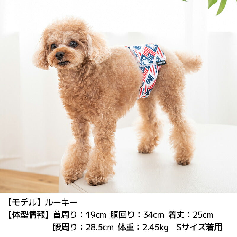 カラフルマナーベルト S/M/L/XL/XXL/4L/5L/6L/OS/OM/OL D's Chat-ディーズチャット- 犬服 小型犬 中型犬 大型犬 ドッグウェア DS24AW ds246253