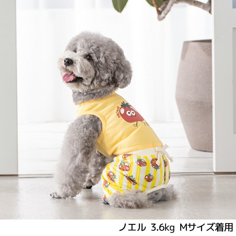 トマト柄ストライプつなぎ XS/S/M/L/XL D's Chat-ディーズチャット- 犬服 小型犬 ドッグウェア DS25SS ds251273