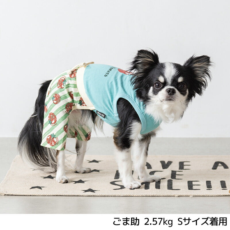 トマト柄ストライプつなぎ XS/S/M/L/XL D's Chat-ディーズチャット- 犬服 小型犬 ドッグウェア DS25SS ds251273