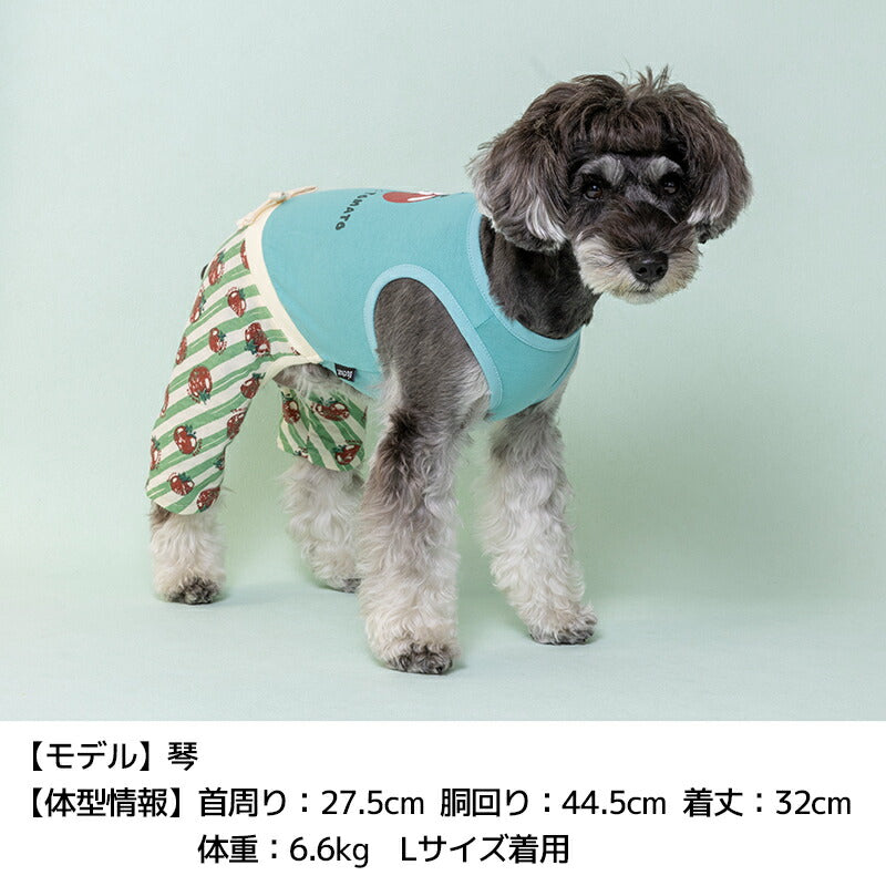 トマト柄ストライプつなぎ XS/S/M/L/XL D's Chat-ディーズチャット- 犬服 小型犬 ドッグウェア DS25SS ds251273