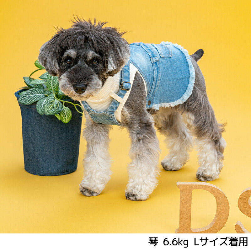 重ね着デニムジャンスカ XS/S/M/L/XL D's Chat-ディーズチャット- 犬服 小型犬 ドッグウェア DS25AW ds251282
