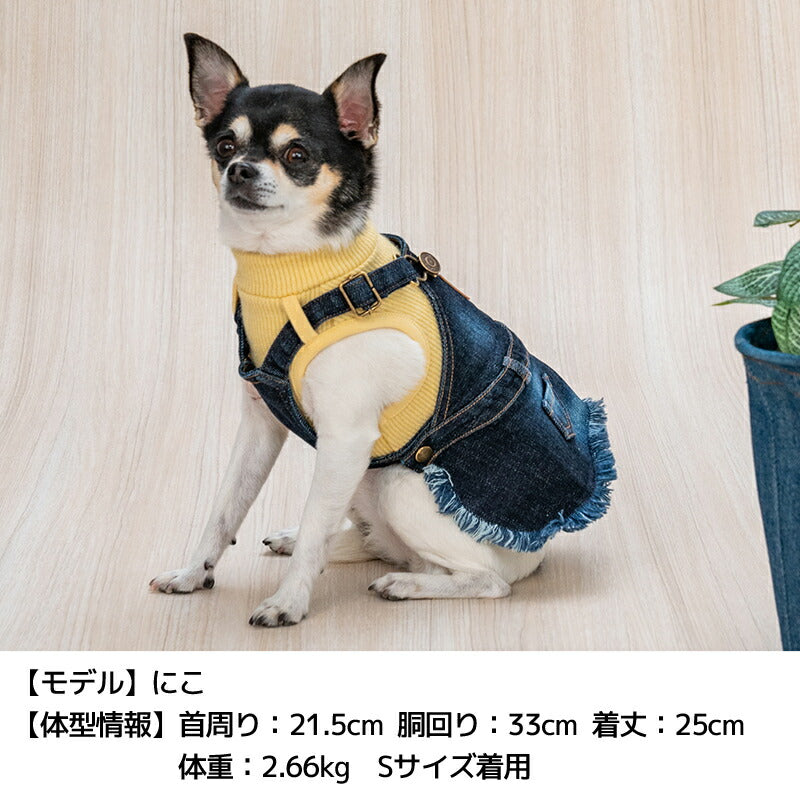 重ね着デニムジャンスカ XS/S/M/L/XL D's Chat-ディーズチャット- 犬服 小型犬 ドッグウェア DS25AW ds251282