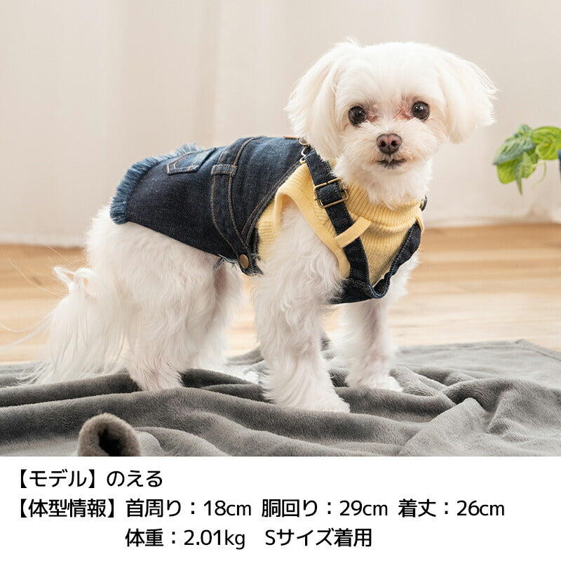 重ね着デニムジャンスカ XS/S/M/L/XL D's Chat-ディーズチャット- 犬服 小型犬 ドッグウェア DS25AW ds251282