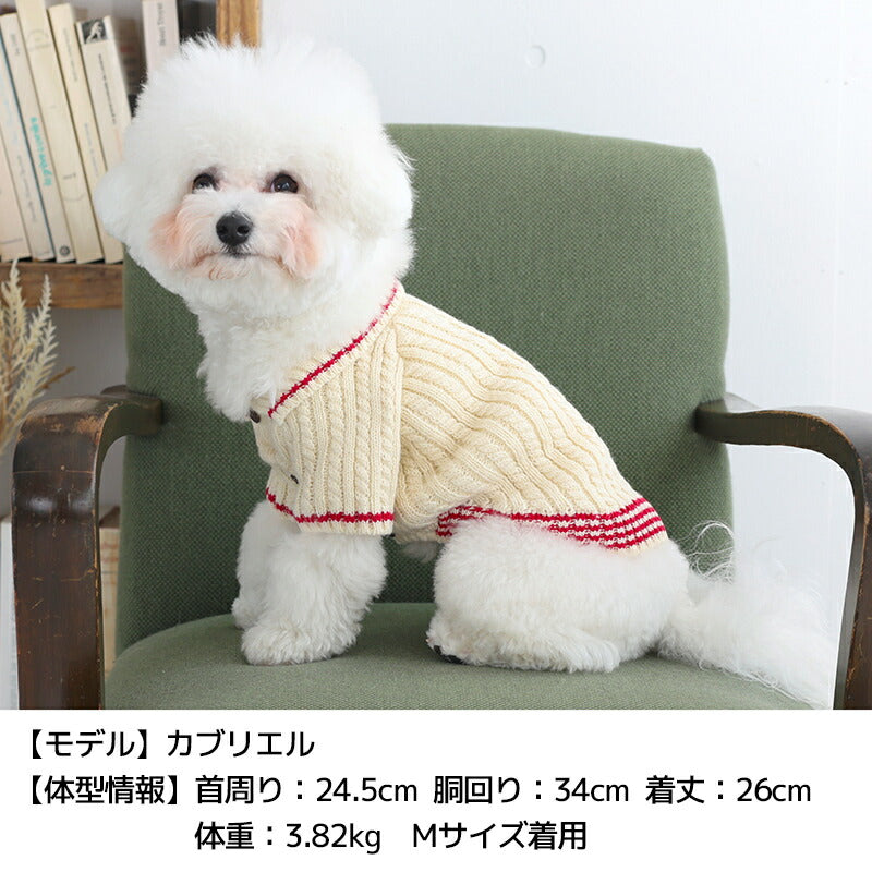 襟ラインニット XS/S/M/L/XL/XXL/DXS/DS/DM/FBS/FBM/FBL D's Chat-ディーズチャット- 犬服 小型犬 ダックス フレブル ドッグウェア DS25AW ds251286