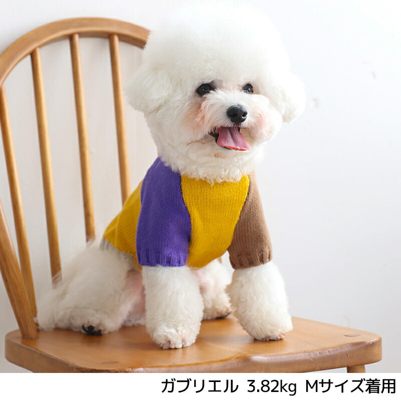 バイカラー袖国旗柄ニット XS/S/M/L/XL/XXL/DXS/DS/DM/FBS/FBM/FBL D's Chat-ディーズチャット- 犬服 小型犬 ダックス フレブル ドッグウェア DS25AW ds251287
