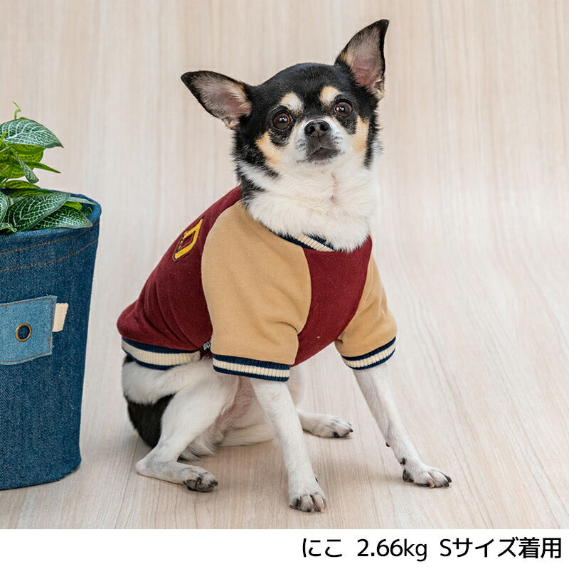 背開きスタジャン XS/S/M/L/XL/XXL/DXS/DS/DM/FBS/FBM/FBL D's Chat-ディーズチャット- 犬服 小型犬 ダックス フレブル ドッグウェア DS25AW ds251294