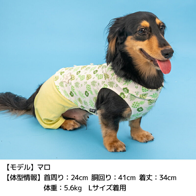 ボタニカルシャツパンツ XS/S/M/L/XL/XXL D's Chat-ディーズチャット- 犬服 小型犬 ドッグウェア DS26SS ds261312
