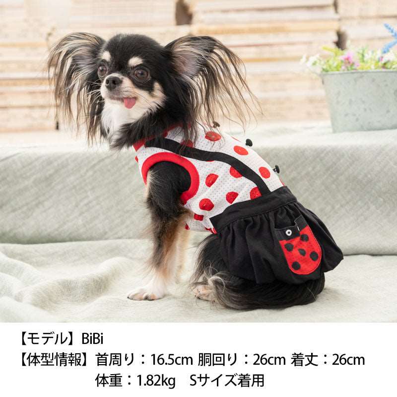 てんとう虫バルーンワンピ S Dulce-ドゥルチェ- 犬服 ドッグウェア トイプードル チワワ ポメラニアン DU23SS du231091-1