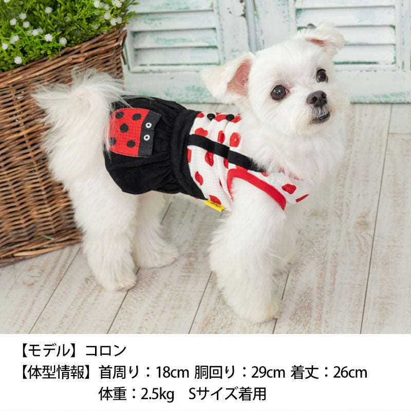 てんとう虫バルーンワンピ S Dulce-ドゥルチェ- 犬服 ドッグウェア トイプードル チワワ ポメラニアン DU23SS du231091-1