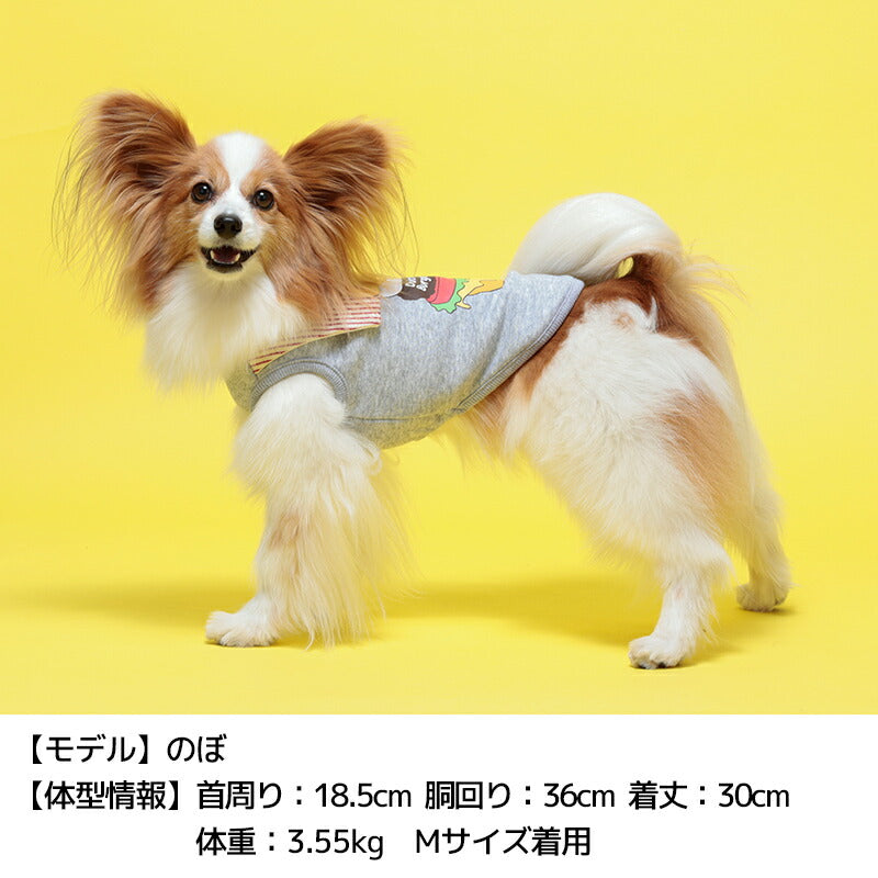 ジャンキーフードトレーナー S/M/L/XL Dulce-ドゥルチェ- 犬服 ドッグウェア DU24AW du241131