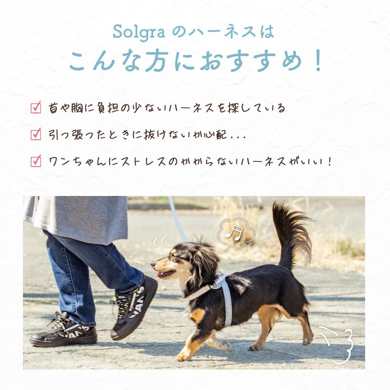 【公式通販限定】レースヘッドインハーネス S/M/L Solgra-ソルグラ- 犬用 犬 ハーネス 抜けにくい 抜けない 脱げない 脱げにくい 足を通さず 簡単装着 やさしい 柔らかい おしゃれ かわいい 負担が少ない 超小型犬 小型犬 SO25SS so259594