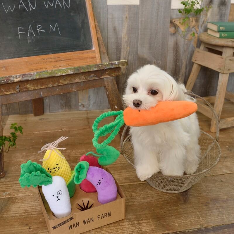 ハッピーお野菜フレンズ キャロ子ちゃん もぐらいも なすにぃ Solgra TOY -ソルグラ トイ- 犬用おもちゃ ドッグトイ トイプードル チワワ ポメラニアン SO21SS