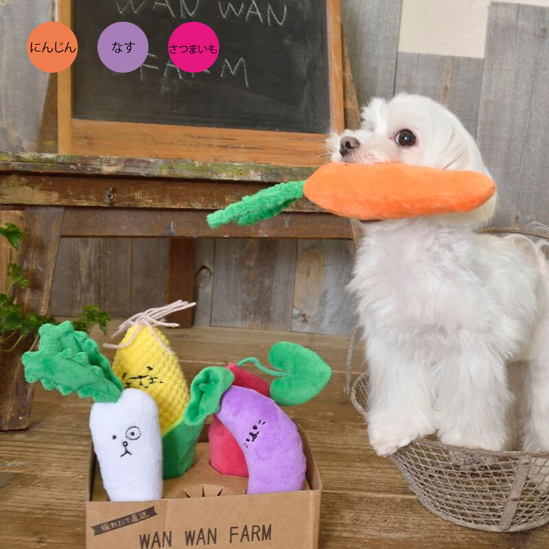 ハッピーお野菜フレンズ キャロ子ちゃん もぐらいも なすにぃ Solgra TOY -ソルグラ トイ- 犬用おもちゃ ドッグトイ トイプードル チワワ ポメラニアン SO21SS