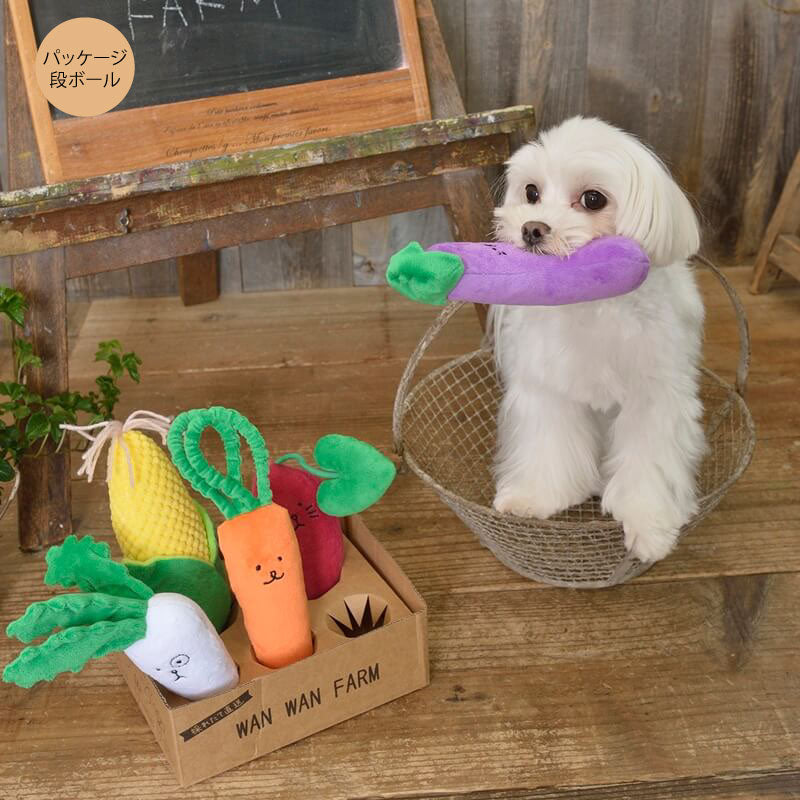 ハッピーお野菜フレンズBOX (BOXのみ) Solgra TOY -ソルグラ トイ- 犬用おもちゃ ドッグトイ トイプードル チワワ ポメラニアン SO21SS