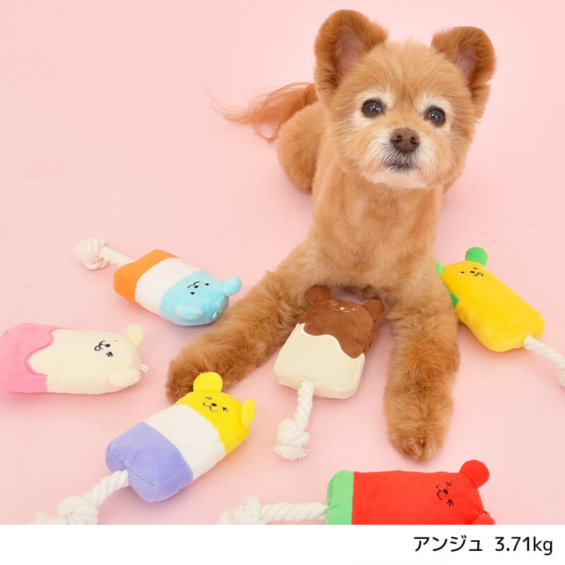 アイスバーおもちゃ Free Solgra TOY -ソルグラ トイ- 犬用おもちゃ ドッグトイ トイプードル チワワ ポメラニアン SO22SS