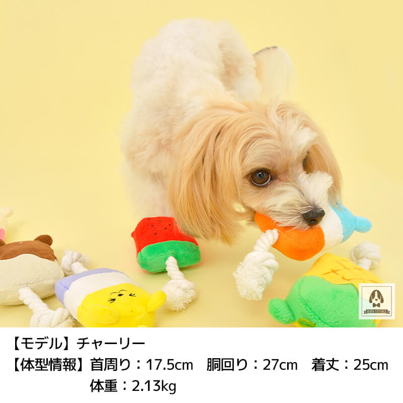 アイスバーおもちゃ Free Solgra TOY -ソルグラ トイ- 犬用おもちゃ ドッグトイ トイプードル チワワ ポメラニアン SO22SS