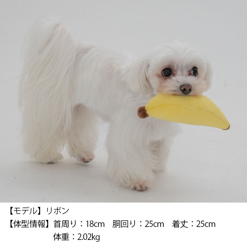フルーツおもちゃ Free Solgra TOY -ソルグラ トイ- 犬用おもちゃ ドッグトイ トイプードル チワワ ポメラニアン SO22AW so165174-1
