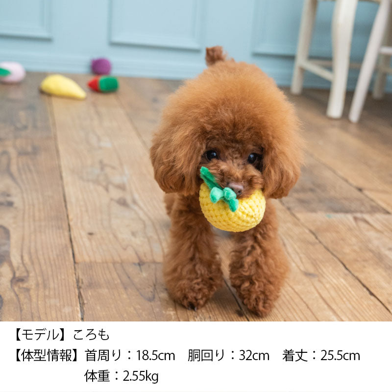 フルーツおもちゃ Free Solgra TOY -ソルグラ トイ- 犬用おもちゃ ドッグトイ トイプードル チワワ ポメラニアン SO22AW so165174-1