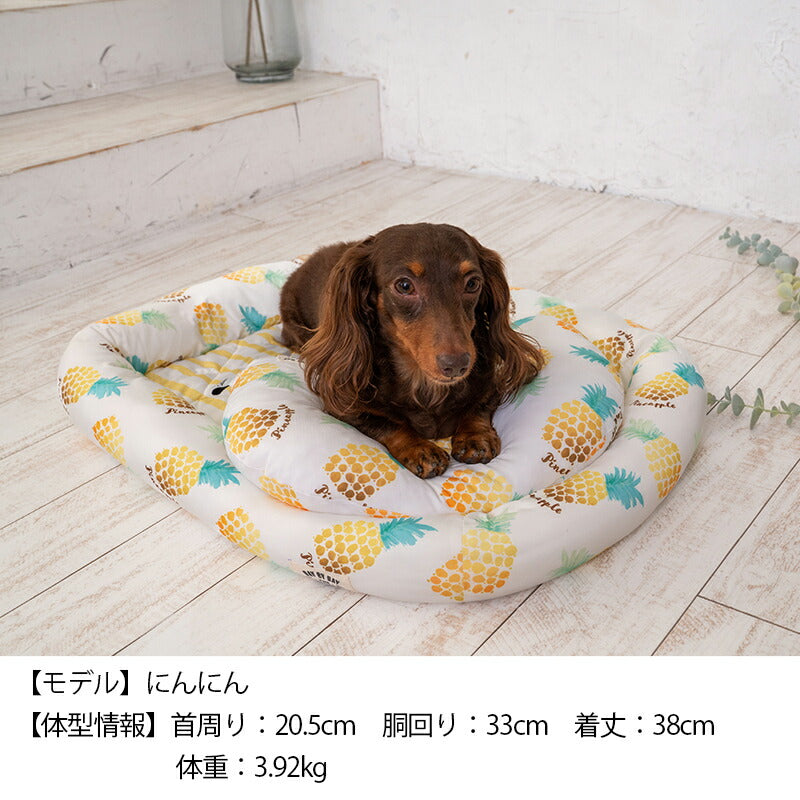 クールピロー M/L Solgra-ソルグラ- 犬用 パイン チェック クールベッド アゴ置きまくら 接触冷感 ひんやり トイプードル チワワ ポメラニアン SO23SS so237227-1