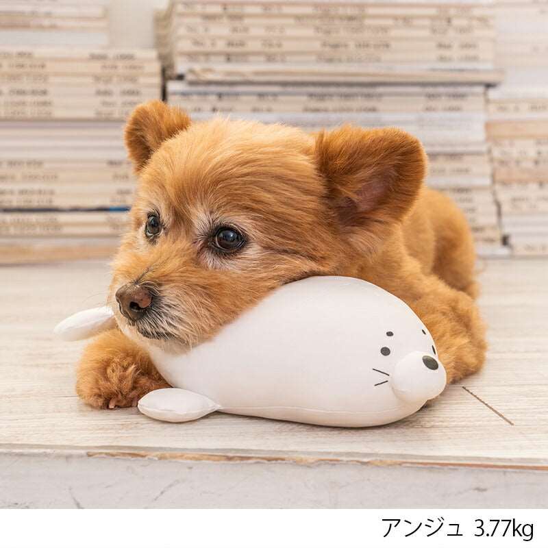 あらざしクールピロー F Solgra-ソルグラ- 犬用 アゴ置きまくら トイプードル チワワ ポメラニアン SO23SS so237229-1