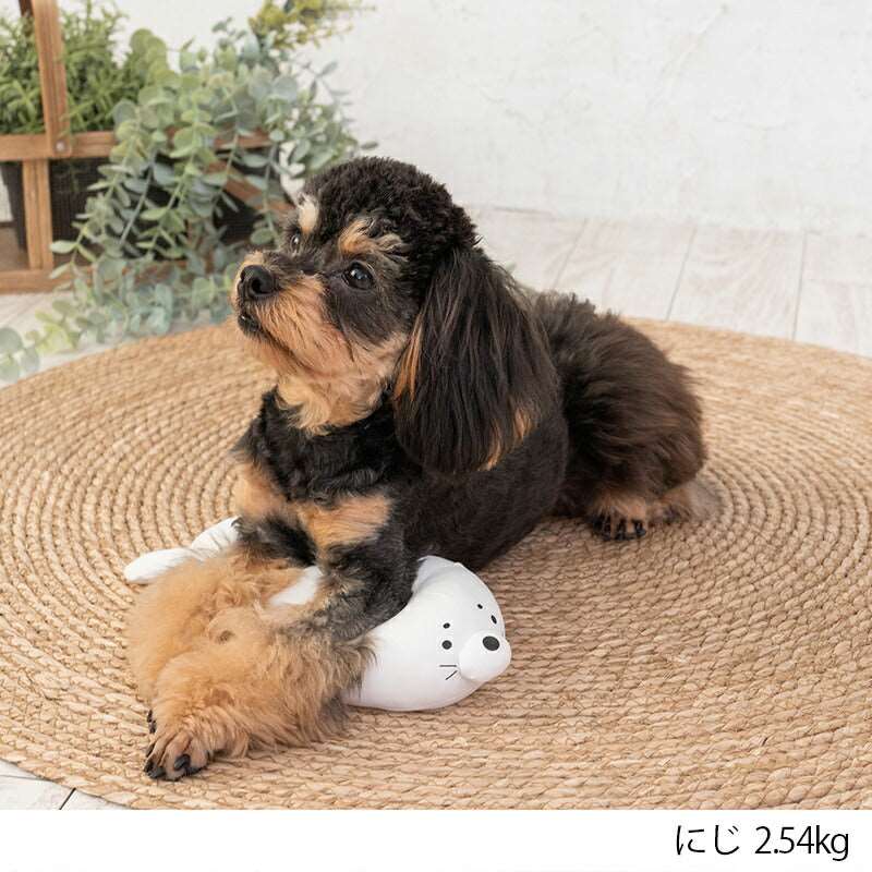 あらざしクールピロー F Solgra-ソルグラ- 犬用 アゴ置きまくら トイプードル チワワ ポメラニアン SO23SS so237229-1
